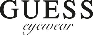 guesslogo